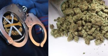 Наказание за хранение дома конопли Наказание за хранение дома конопли