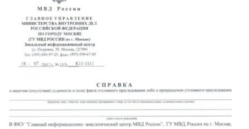 Как выглядит справка о несудимости в россии 2019