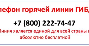 Воронеж тел горячей линии для подачи жалобы гибдд