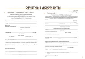 Отчетные документы за проживание в квартире посуточно