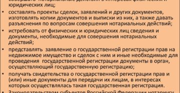 Нотариус как работодатель ип или физическое лицо Нотариус как работодатель ип или физическое лицо
