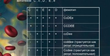 Определение фенотипа крови по системам резус и келл значение