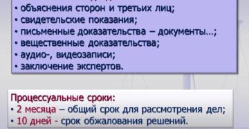 Дополнительные пояснения в гражданском процессе Дополнительные пояснения в гражданском процессе